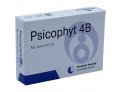Psicophyt remedy 4b 4 tubi 1,2 g