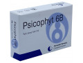 Psicophyt remedy 6b 4 tubi 1,2 g