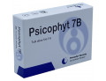 Psicophyt remedy 7b 4 tubi 1,2 g