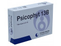 Psicophyt remedy 13b 4 tubi 1,2 g