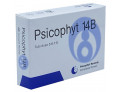Psicophyt remedy 14b 4 tubi 1,2 g