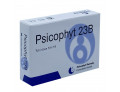 Psicophyt remedy 23b 4 tubi 1,2 g