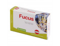 Fucus estratto secco 60 compresse