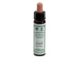 Ainsworths larch 10ml
