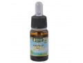 Aromap olio 10 ml