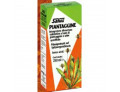 Piantaggine 250 ml