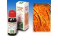 Avena sativa 3 50ml tm