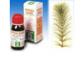 Equiseto 12 50ml tm