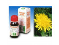 Tarassaco 28 50ml tm