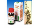 Uva ursina 30 50ml tm