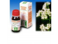 Valeriana 36 tintura madre 50 ml