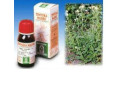 Achillea 51 tintura madre 50 ml