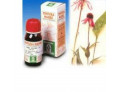 Echinacea 59 50ml tm