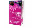 Echinacea fast 20 compresse 800 mg