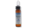 Fiori mediterranei gentian 10 ml