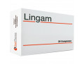 Lingam 30 compresse