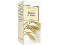 Lievito birra 250 compresse