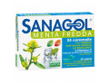 Sanagol menta fredda senza zucchero (24 caramelle)