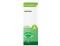 Canfora olio essenziale 10 ml