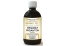 Gemmo 10+ sequoia 500 ml liquido analcolico