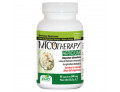 Micotherapy hericium 30 capsule