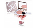 Defence color bionike fard compatto 303 bois de rose