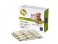 Detoxivet 60 compresse