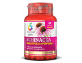 Colours of life echinacea 60 capsule vegetali 500 mg