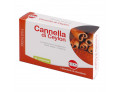 Cannella estratto secco 60 compresse