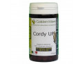 Cordy up 60 capsule