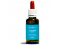 Calma ansia natur mix 30 ml