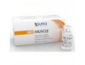 Md-muscle italia 10 flaconcini iniettabili 2 ml