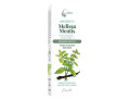 Caira melissamentis macerato idroalcolico bio gocce 50 ml