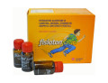 Fisioton junior 20 flaconi da 10 ml
