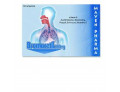 Bromacetil 15 compresse effervescenti