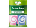 Gastro amp 30 capsule