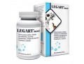 Legart maxi 60 compresse 2 g