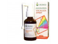 VOCALGEA SPRAY SOL IAL 30ML