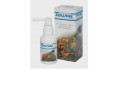 Sollival spray no gas flacone 50 ml