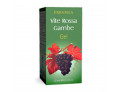 Vite rossa gambe gel 125 ml