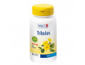 Longlife tribulus terrestris 90 capsule