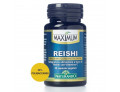 Maximum reishi 40 capsule