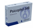 Psicophyt remedy 34b 4 tubi 1,2g