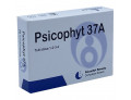 Psicophyt remedy 37a 4 tubi 1,2g