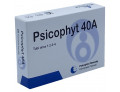 Psicophyt remedy 40a 4 tubi 1,2g