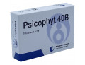 Psicophyt remedy 40b 4 tubi 1,2g