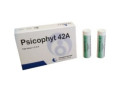 Psicophyt remedy 42a 4 tubi 1,2g