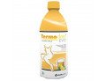 Termodren evo te' limone 500 ml