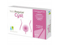 Nutriregular cyst 20 capsule 500 mg