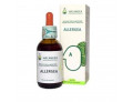 Allergea 50 ml